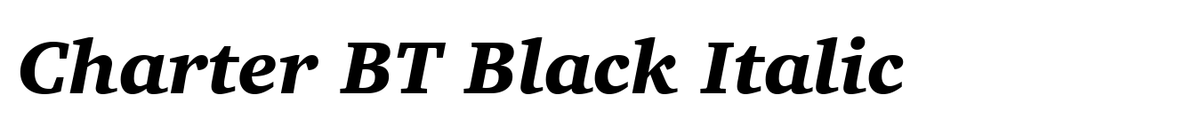 Charter BT Black Italic image